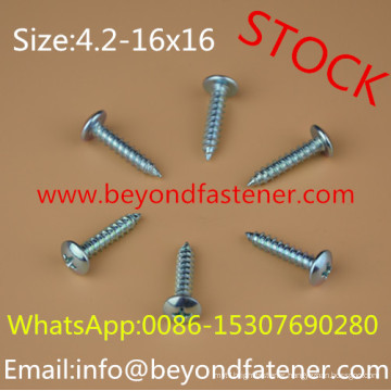 Screw Self Tapping Screw